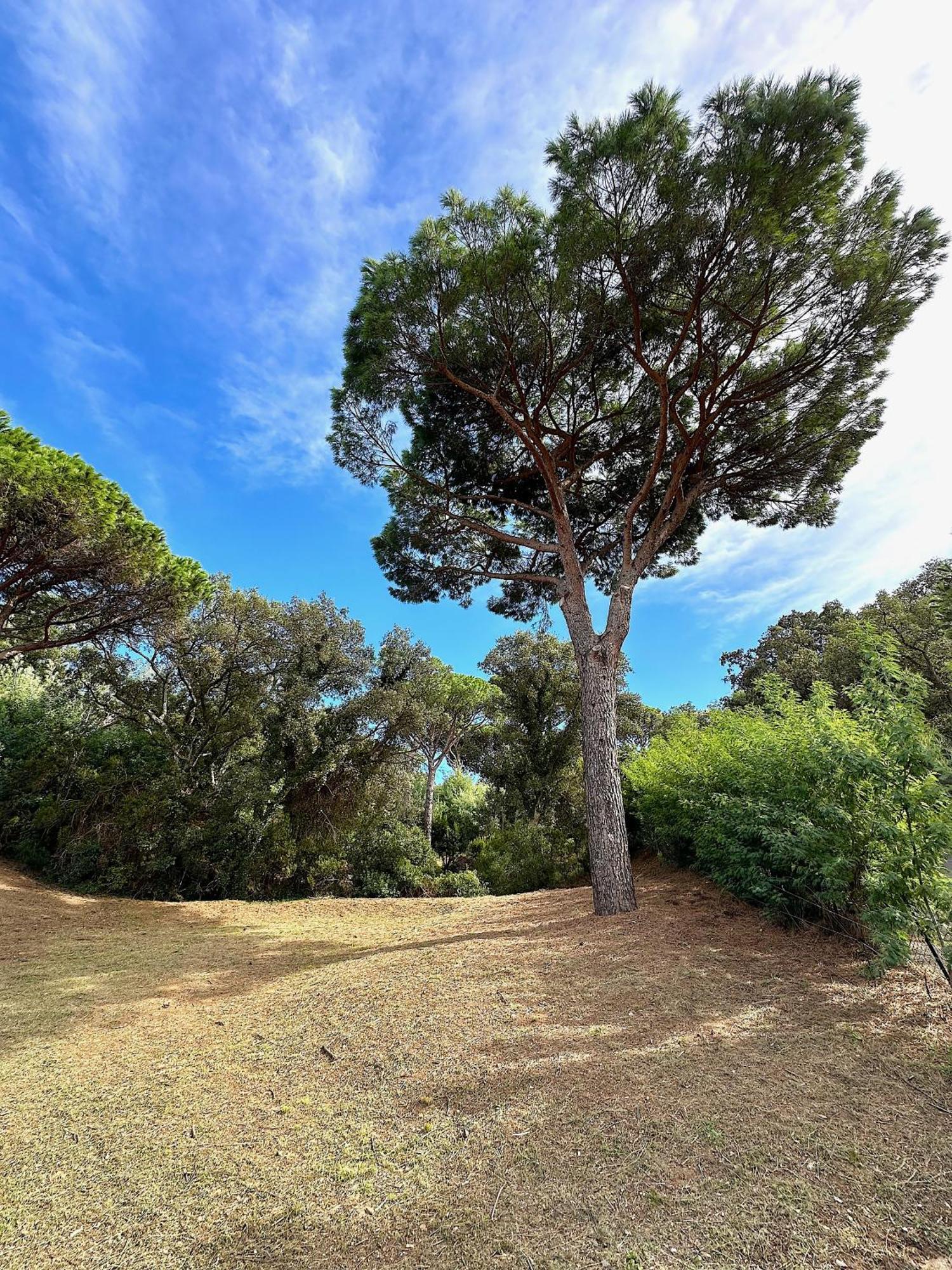 Villa Boca A Gigaro - Avec Vue Et Piscine Chauffee La Croix-Valmer Εξωτερικό φωτογραφία